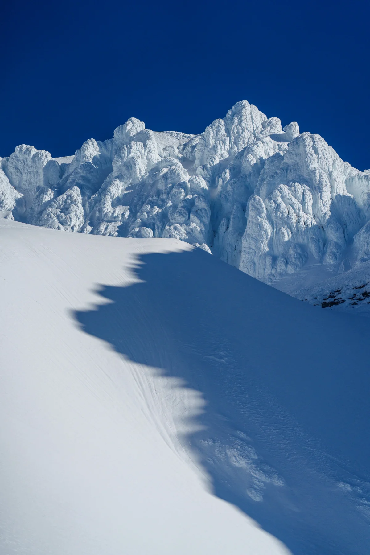 Mt. Hood